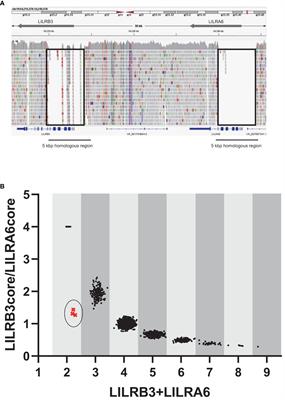 Identification of the hybrid gene LILRB5-3 by long-read sequencing and implication of its novel signaling function